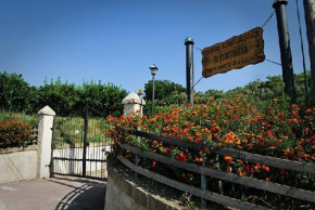 Гостиница Eco-bio Agriturismo Santacinnara  Soveria Simeri